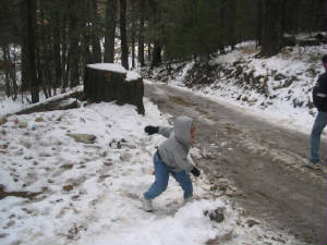 mtsnow2.jpg